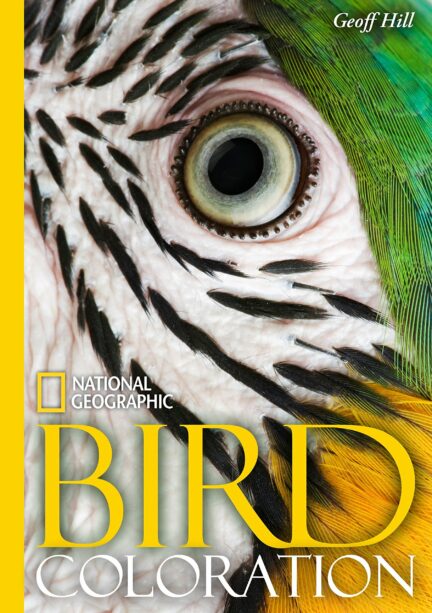 Bird Coloration