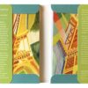 information on the Delaunay Visions of Paris